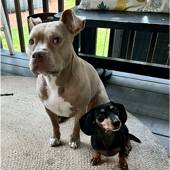 Meet your Posher, Jen - Picture 3 of 12